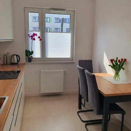 Lazurowa Modern Apartment Warsaw